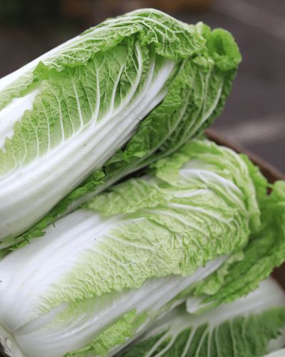 Пекінська капуста Україна 1шт Пекінська капуста Україна 1шт