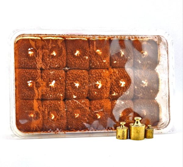 Десерт тірамісу Dolce Italia Tiramisu Classico 500 г Десерт тірамісу Dolce Italia Tiramisu Classico 500 г